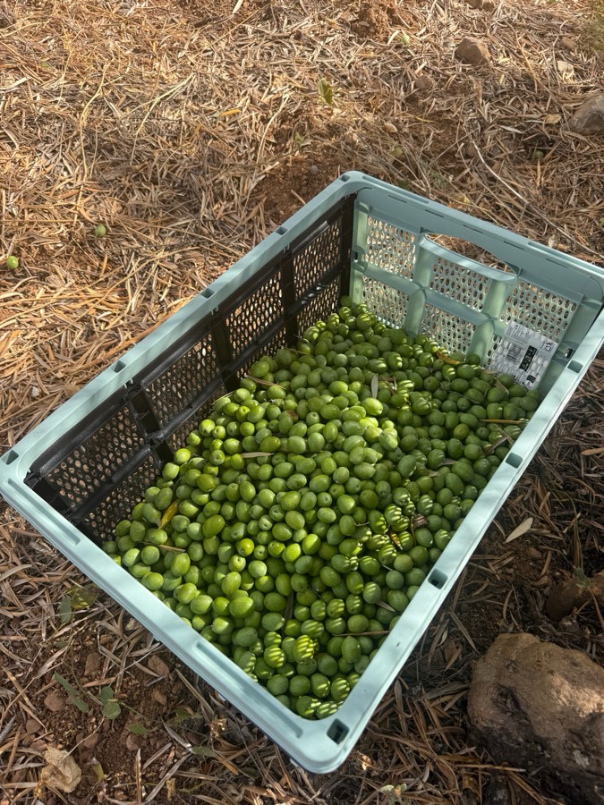 Impressie van Finca Mariposa