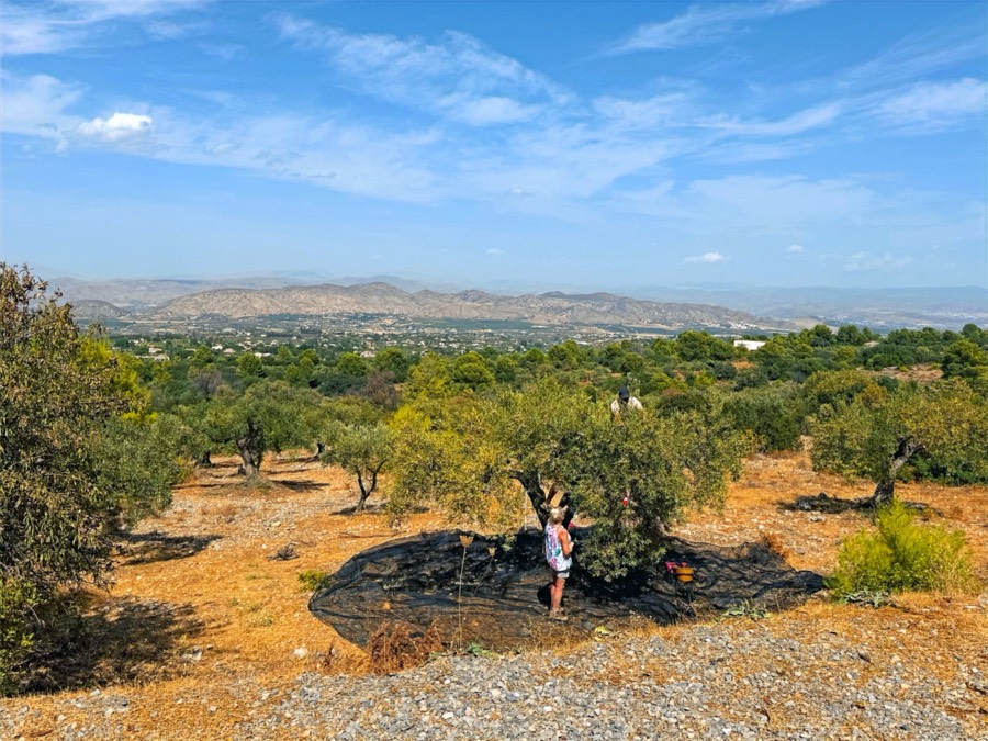 Impressie van Finca Mariposa